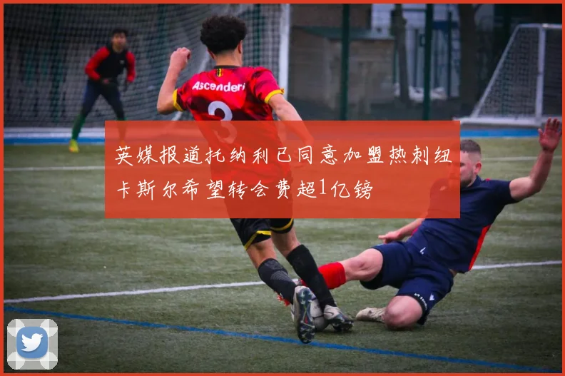 英媒报道托纳利已同意加盟热刺纽卡斯尔希望转会费超1亿镑