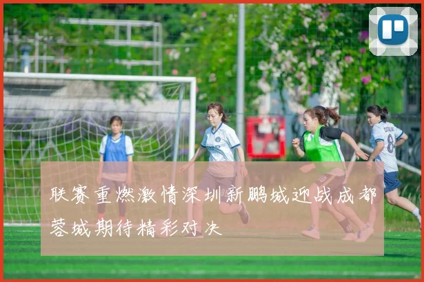 联赛重燃激情深圳新鹏城迎战成都蓉城期待精彩对决